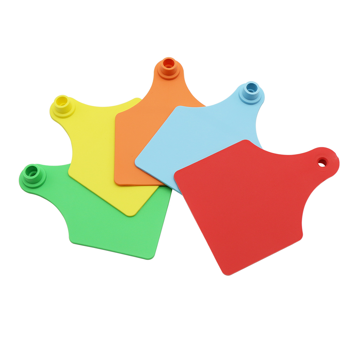 Livestock Ear Tag - 5 takım Hayvancılık TPU Malzeme Kelimsiz