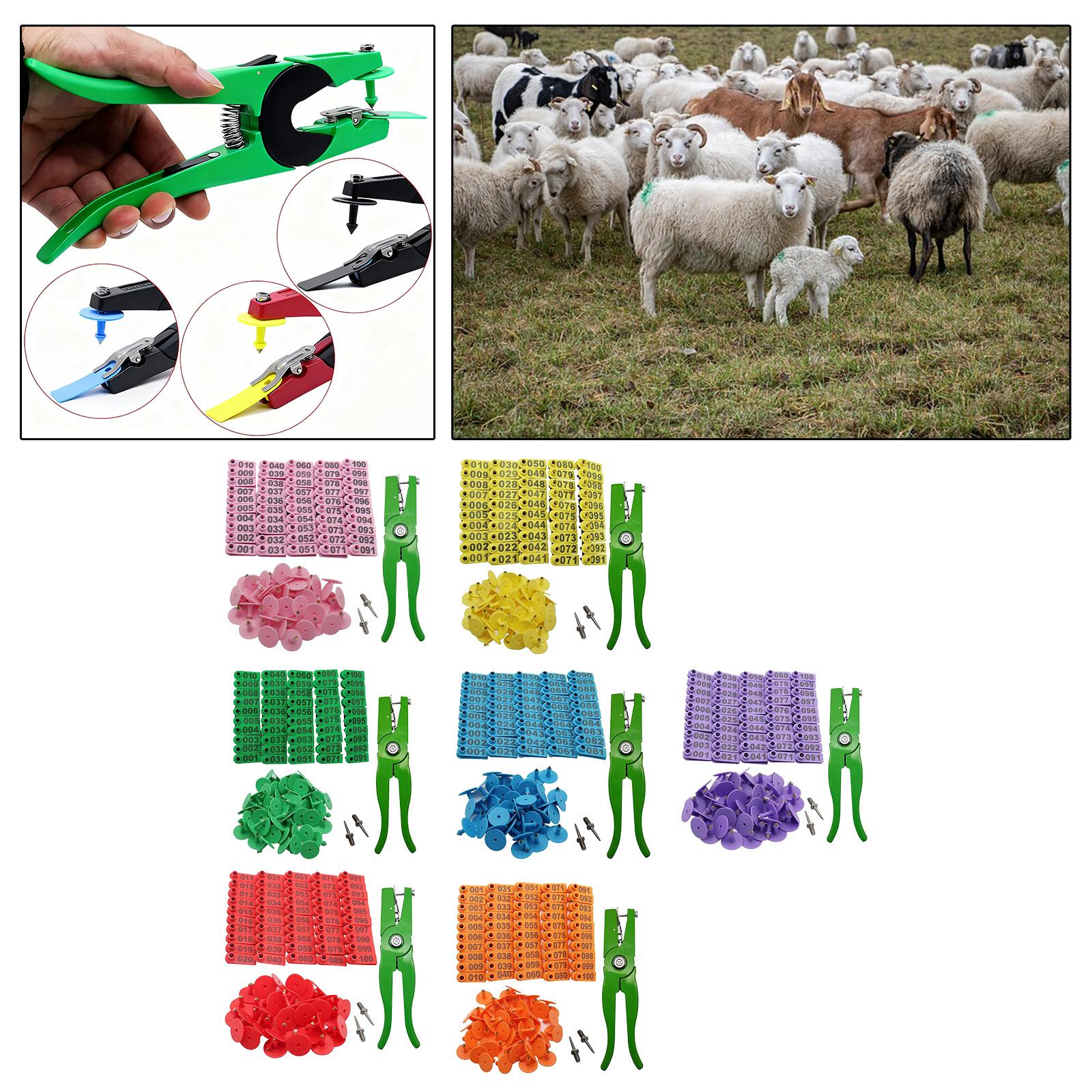 Livestock Ear Tag - Hayvancılık Hayvan Kimlik Numaralı Kulak Küpesi