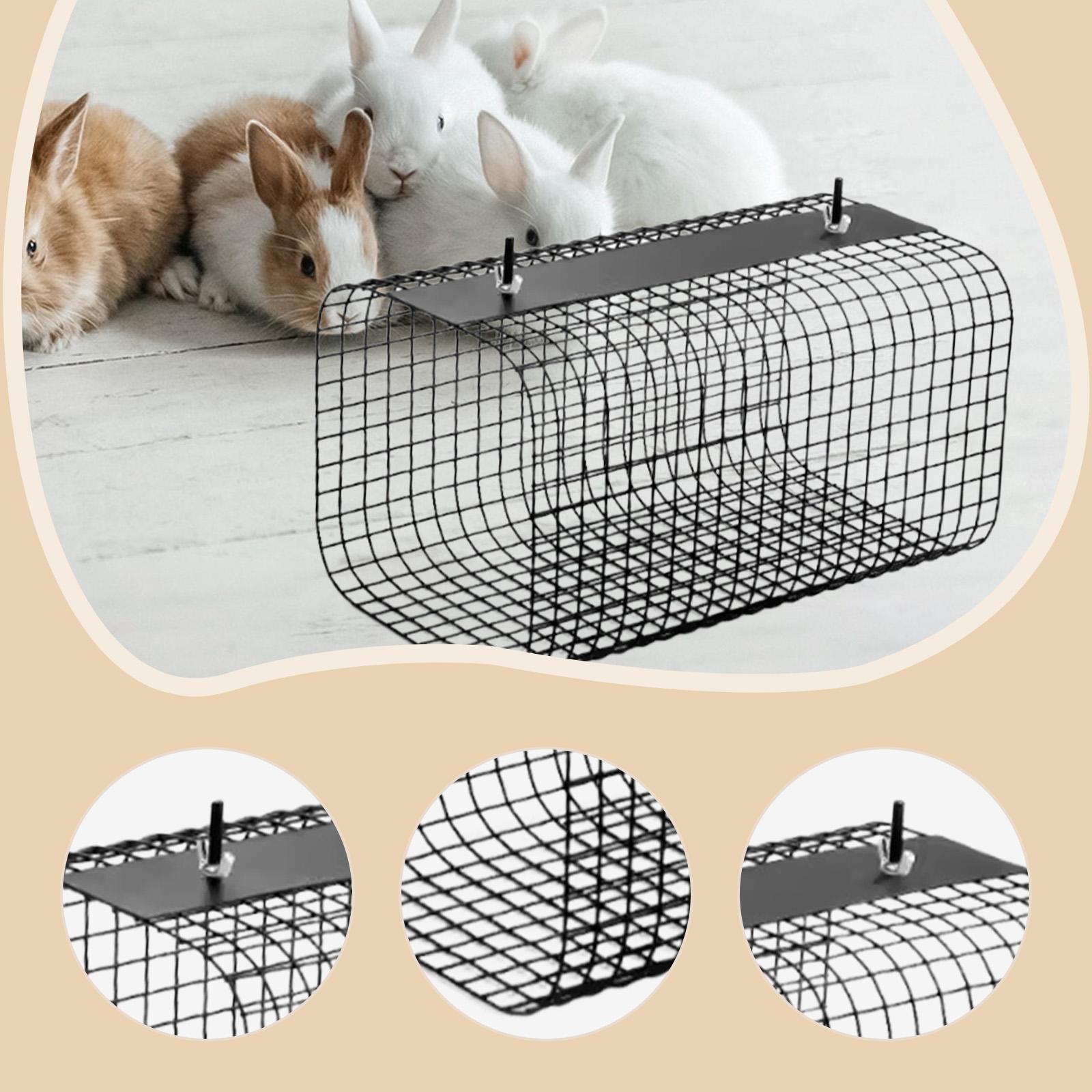 Gelincik Hamster Tüneli Saklan - Rabbit Cage Wire incelemesi ve fiyatı