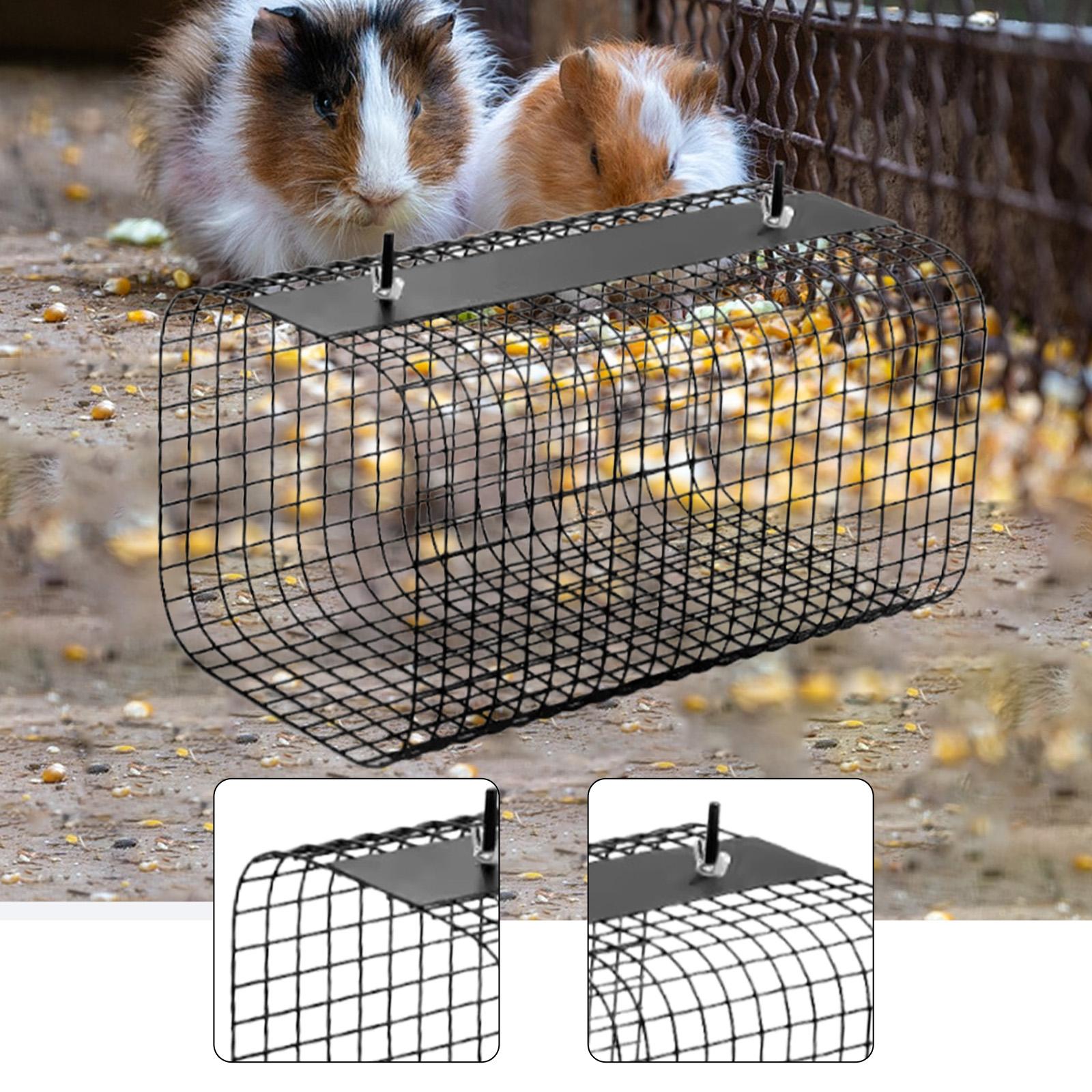Gelincik Hamster Tüneli Saklan - Rabbit Cage Wire incelemesi ve fiyatı