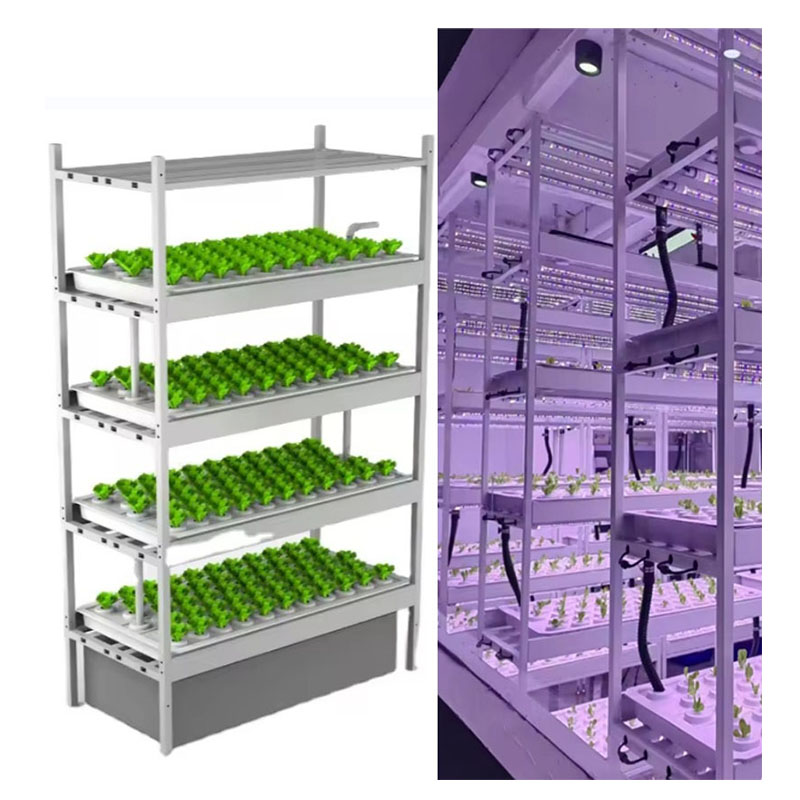 Sera Tarım Ekipmanları Mantar  - Agriculture Farming System incelemesi ve fiyatı