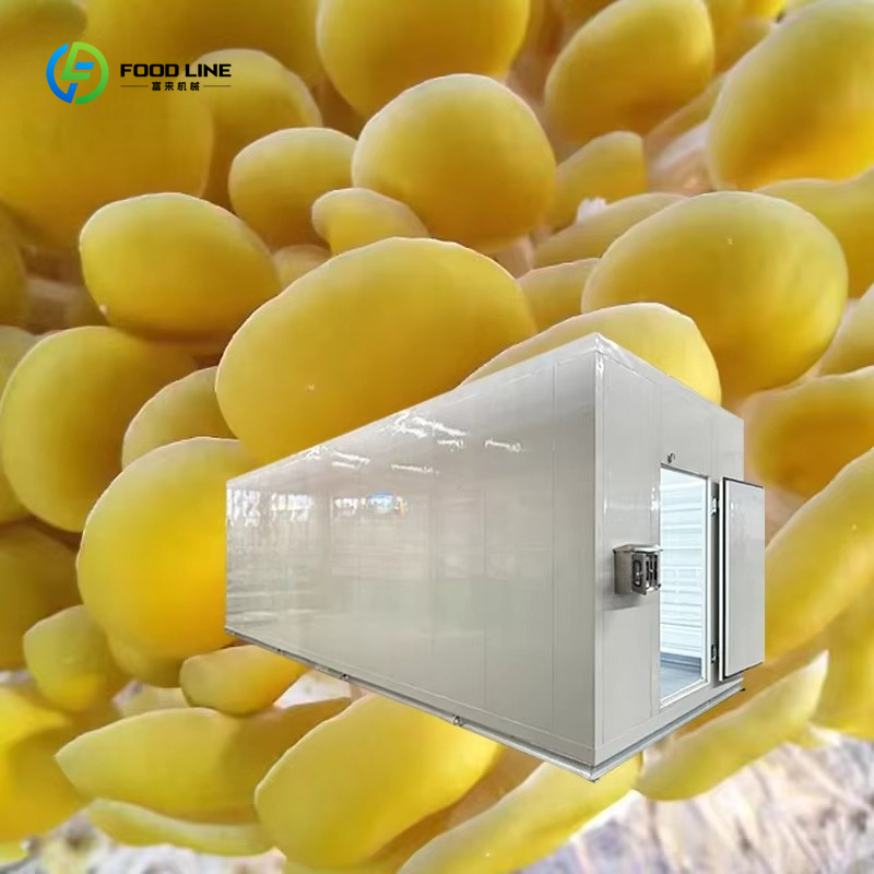 Akıllı Mantar Yetiştirme Kapsü - Smart Farming Technology In Agriculture incelemesi ve fiyatı
