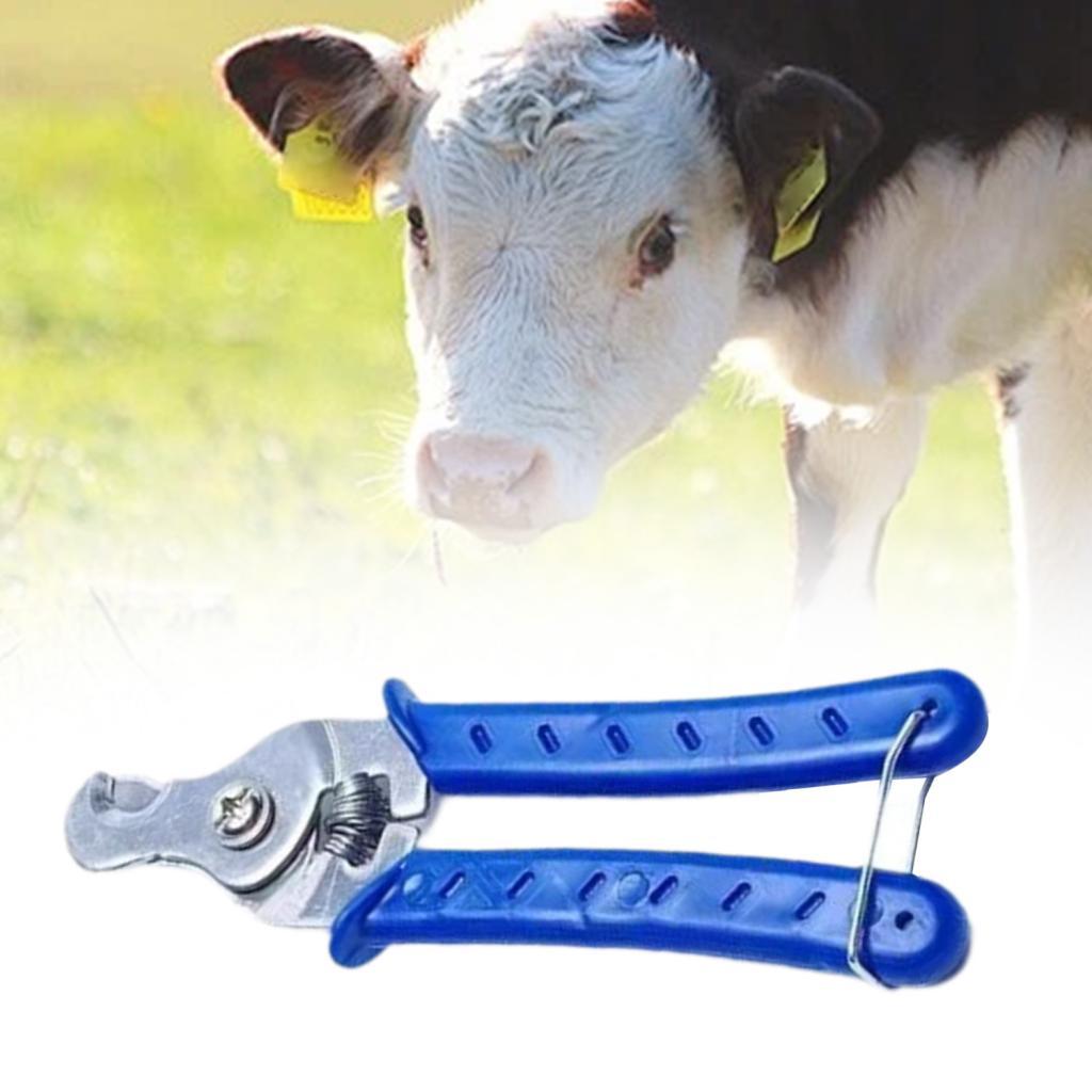 Paslanmaz Çelik Hayvan Kulak K - Livestock Ear Tag incelemesi ve fiyatı