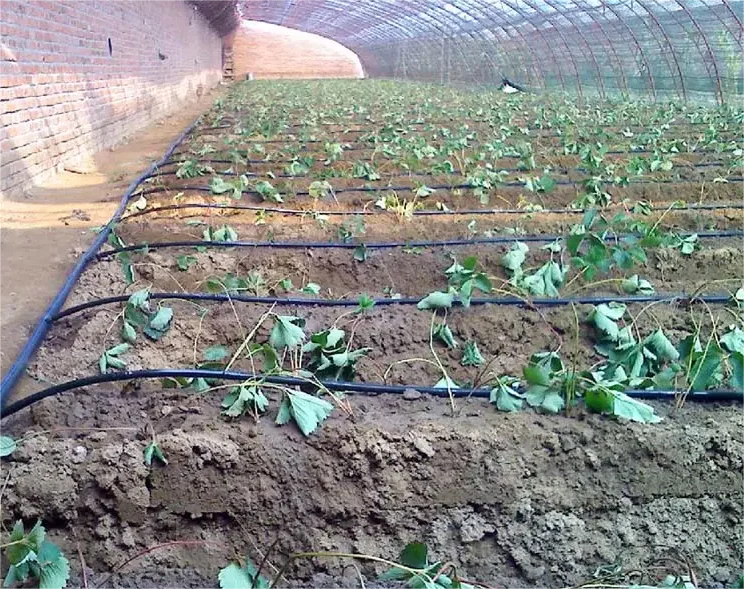 1HA Sulama Kiti Tarım Aracı 20 - Agriculture Farming System incelemesi ve fiyatı