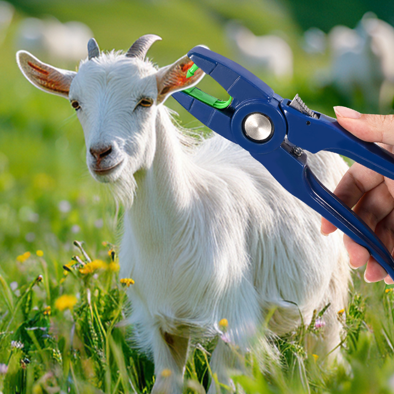 100 adet Entegre Koyun Kulak K - Livestock Ear Tag incelemesi ve fiyatı