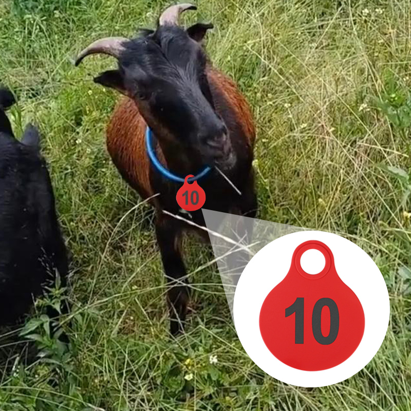 001-100 Sığır TPU Kulak Küpesi - Livestock Ear Tag incelemesi ve fiyatı