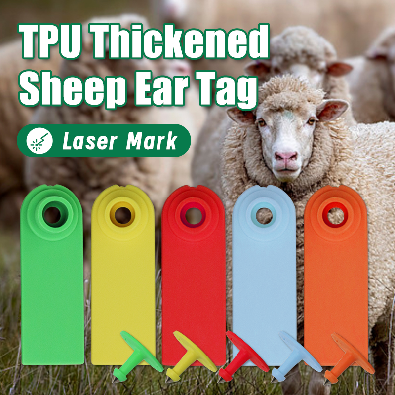 100 Adet Koyun Keçi Kulak Etik - Livestock Ear Tag incelemesi ve fiyatı