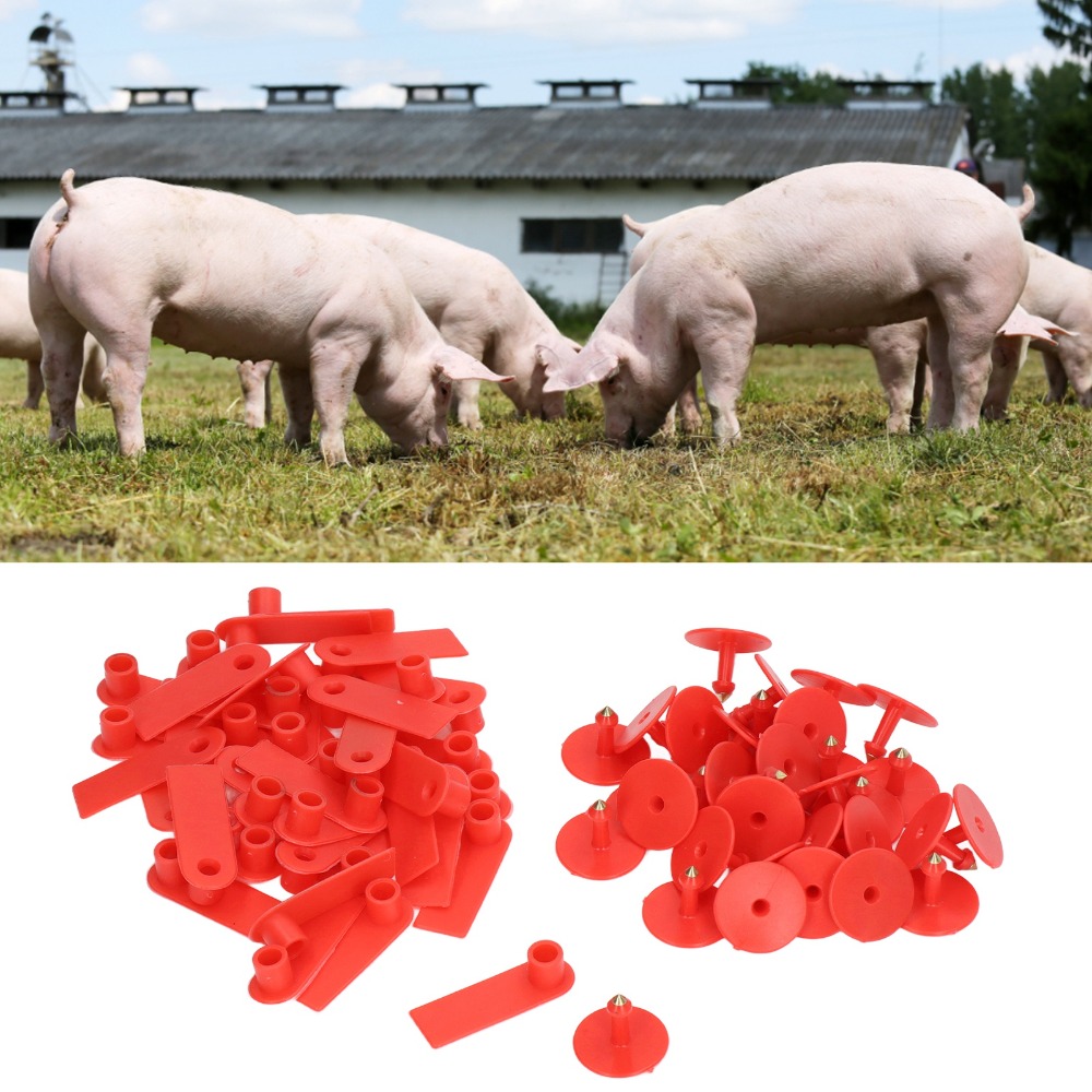 100 adet elle yazılabilir boş  - Livestock Ear Tag incelemesi ve fiyatı