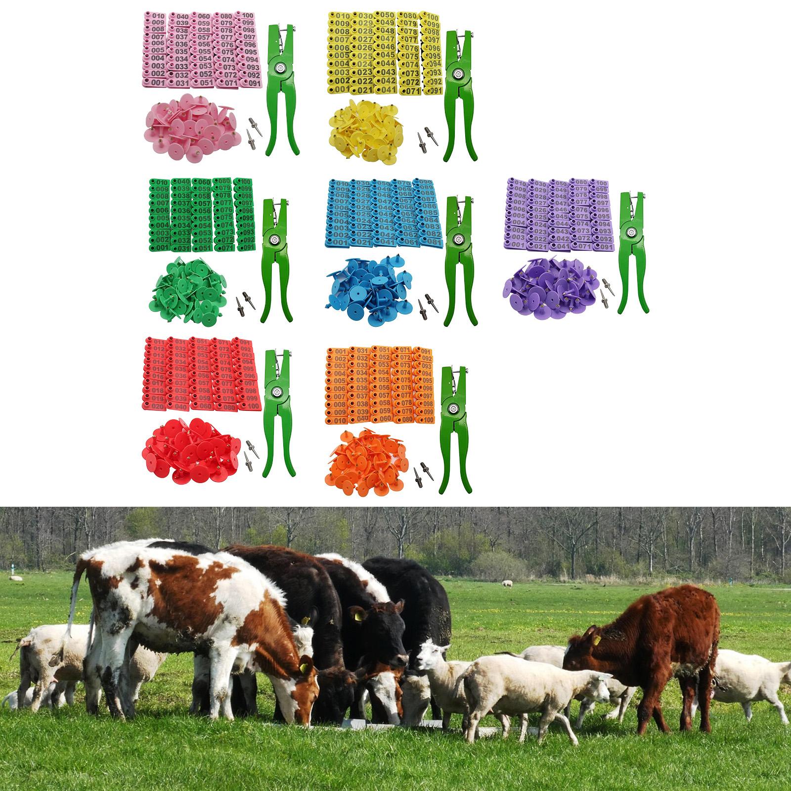 Hayvancılık Hayvan Kimlik Numa - Livestock Ear Tag incelemesi ve fiyatı